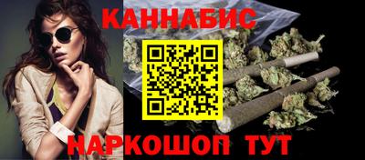 крисы Будённовск