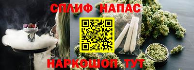 крисы Будённовск