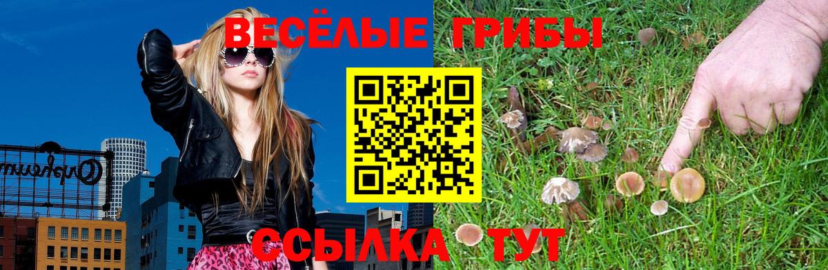 Псилоцибиновые грибы Magic Shrooms Тутаев